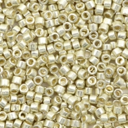 Miyuki beads delica's 11/0 Duracoat Galvanized Silver