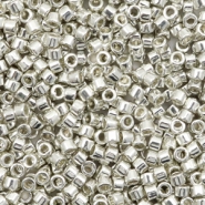 Miyuki beads delica's 11/0 Galvanized Silver