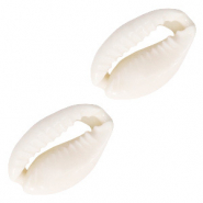 Cowrie Shell bead Naturel White
