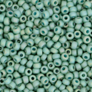 Miyuki seed beads 11/0 Opaque Glazed Frosted Rainbow Celadon Green 11-4701