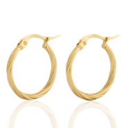 Stainless steel earrings creole Gold