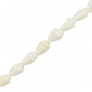 Shell beads Whelks White (natural colour)