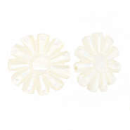 Shell beads sun White (natural colour)