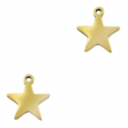 Stainless steel charms star Gold