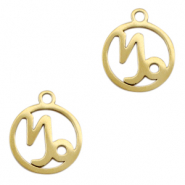 Stainless steel charms zodiac sign Capricorn Gold