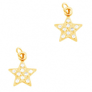 Stainless steel charms star Gold