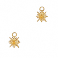 Stainless steel charms star Gold