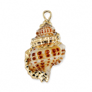 Shell pendants specials Brown-Gold