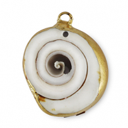 Shell pendants specials Snail Ivory-Gold