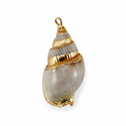 Shell pendants specials Grey-Gold