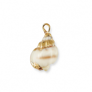 Shell pendants specials Brown-Gold