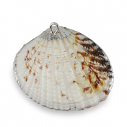 Shell pendants specials Scallop Ivory Copper Brown-Silver