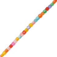 Shell beads tube Multicolor