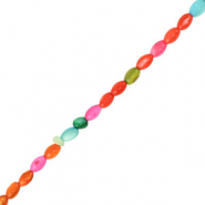 Shell beads oval Multicolor