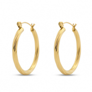Stainless steel earrings creole Gold