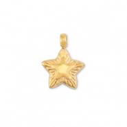 Stainless steel charms star Gold