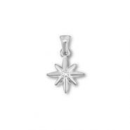 Stainless steel charms star Silver