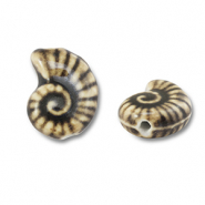 Beads ceramic shell Light Brown