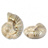 DQ greek ceramic beads shell Beige-Brown