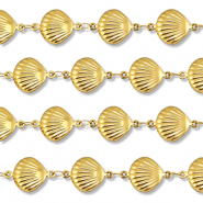 Stainless steel findings belcher chain shell Gold