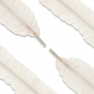 Trendy shoe laces organza Beige