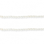 Freshwater pearls rice Natural White