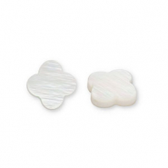 Shell beads clover White (natural colour)