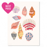 Jewellery cards shell Multicolor
