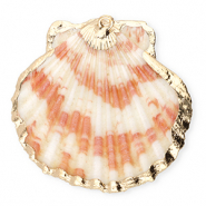 Shell pendants specials scallop Dark Pink-Gold