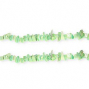 Shell beads chipstone Multicolour Green