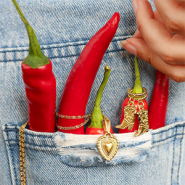 NEW Yes new series stainless steel country charms