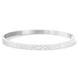 Stainless steel bracelets snake Silver