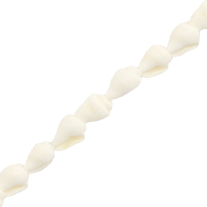 Shell beads Whelks White