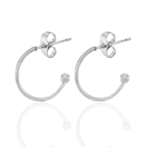 Stainless steel earrings creole Silver