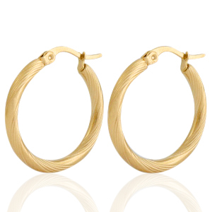 Stainless steel earrings creole Gold
