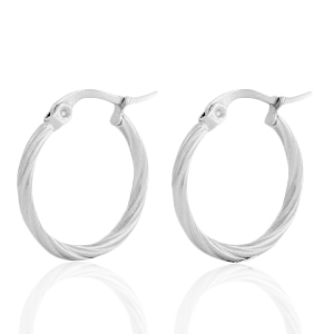 Stainless steel earrings creole Silver