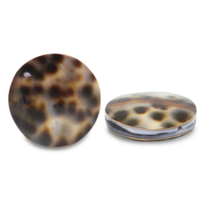Shell beads 20mm Brown