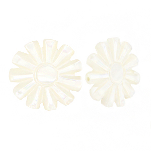 Shell beads sun White (natural colour)