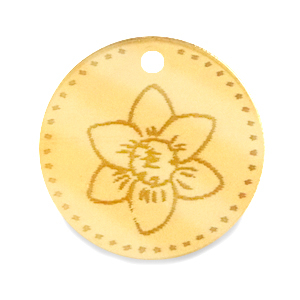 Plexx charms 20mm Birth flower December-Narcissus Gold