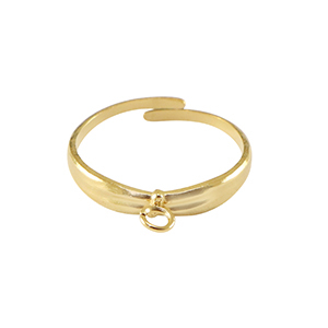 Stainless steel rings with loop Gold