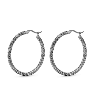 Stainless steel earrings zirconia creole Silver