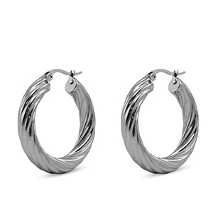 Stainless steel earrings creole Silver