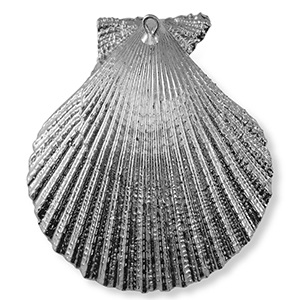 Shell pendants specials Scallop Silver