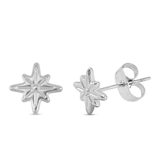 Stainless steel earrings / earpins star Silver