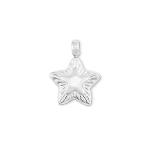 Stainless steel charms star Silver