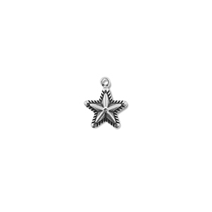 Stainless steel charms star Silver