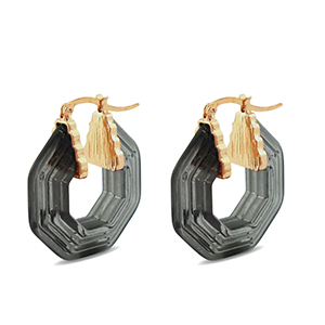 Trendy resin earrings hexagon Gold-Transparent Black