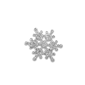 Brooches snowflake Silver