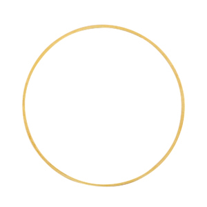 DQ European metal findings closed rings 30mm Gold (nickel free)