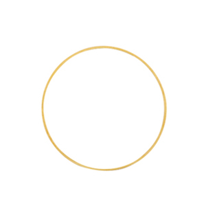 DQ European metal findings closed rings 20mm Gold (nickel free)